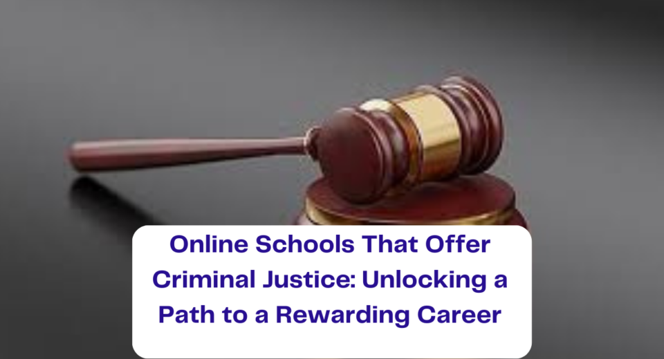 Online Schools That Offer Criminal Justice: Unlocking a Path to a Rewarding Career