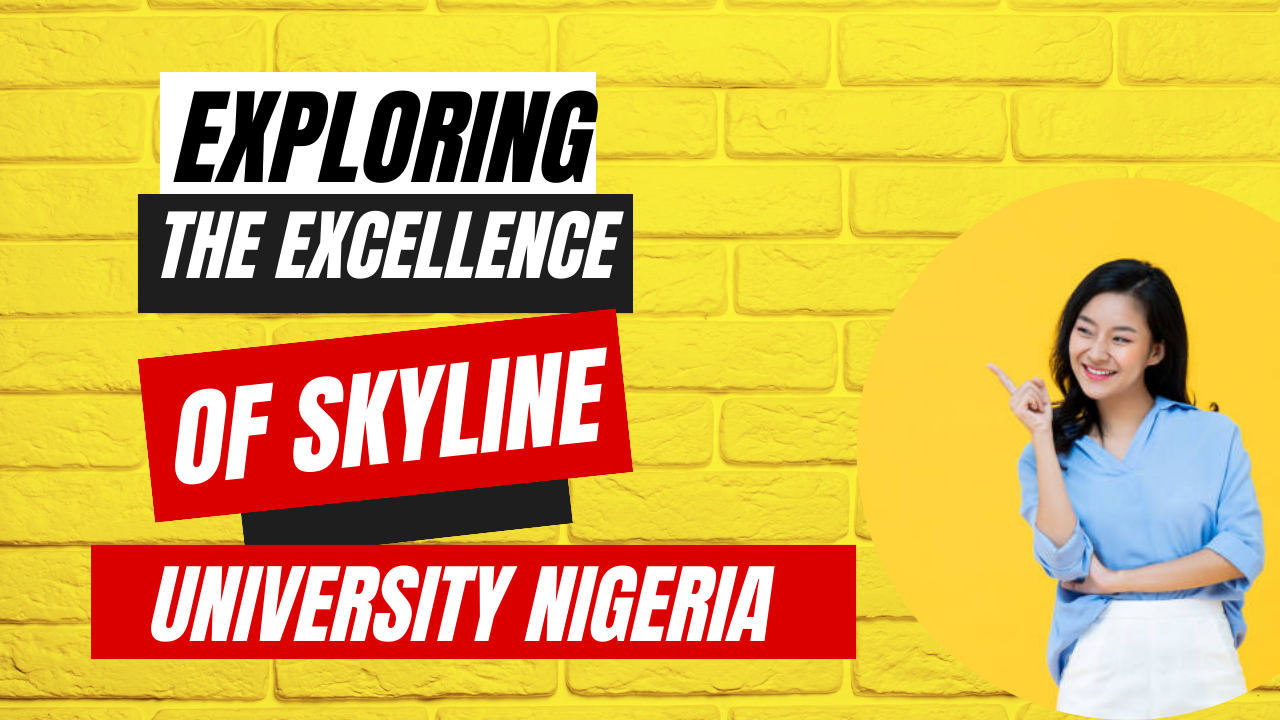 Exploring the Excellence of Skyline University Nigeria